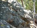 ROCCE DALLE SEMBIANZE ANIMALESCHE